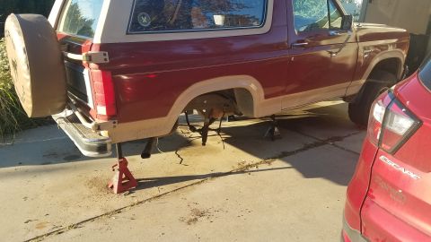 1985 Ford Bronco - The rear driver's side of a maroon and tan Ford Bronco is raised on jack stands. The spare tire is mounted on the back, and the rear axle a…