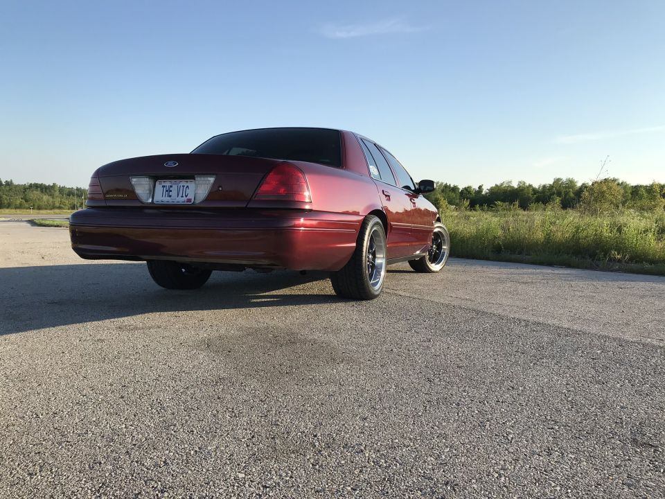 Red Ford Crown Victoria parked on a road, rear view. License plate says 'THE VIC'