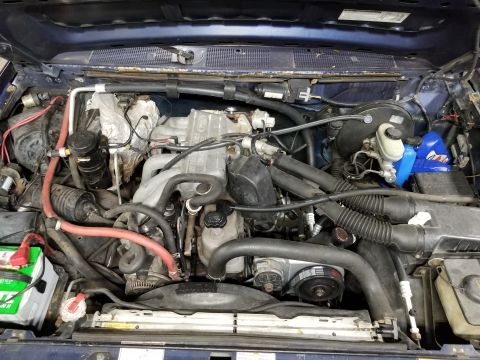 1995 Ford F-150 - As usual, I forgot to wash the engine before diving in. But it's fairly clean, other than what the squirrels have stored on it in the past…
