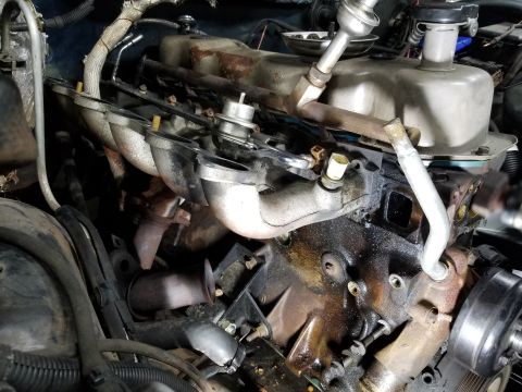 1995 Ford F-150 - Maybe it's not quite as clean as I thought.