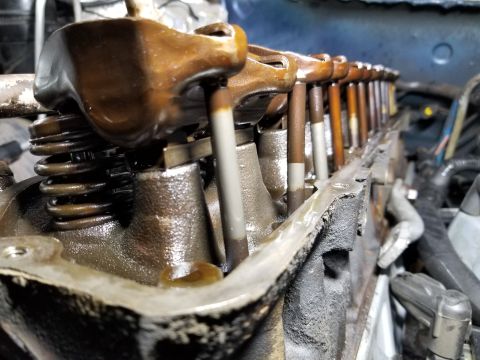 1995 Ford F-150 - Well, THERE'S your problem! The #1 intake pushrod is off its rocker, and several of the others are slightly bent.
