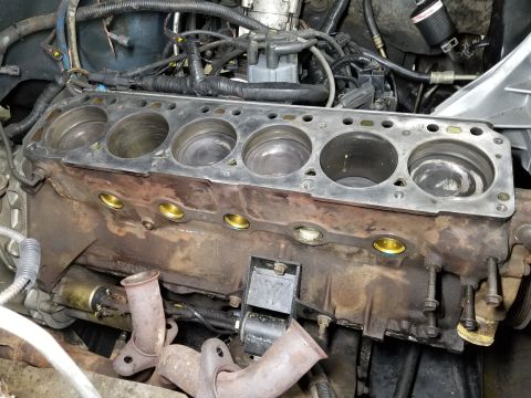 1995 Ford F-150 - I put a little blue Hylomar on the new bore plugs before hammering them in. [url=https://www.supermotors.net/vehicles/registry/media/115733…