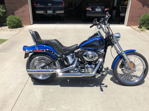 2008 Harley-Davidson Softail “FXSTC”