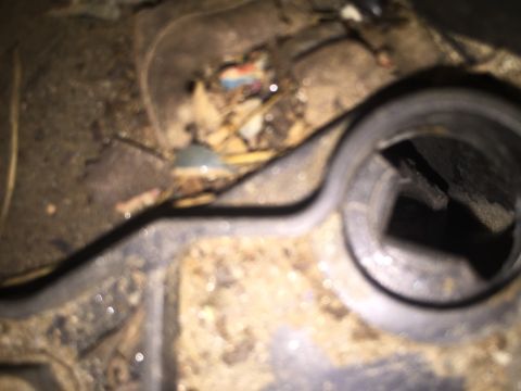 1998 Ford Ranger - This image shows a close-up of a dirty automotive part, likely from an HVAC system, with visible debris and wiring.