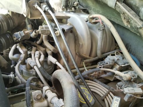 1996 Ford Bronco - Close-up of the engine bay in a 1996 Ford Bronco, highlighting the spark plug wires and distributor.