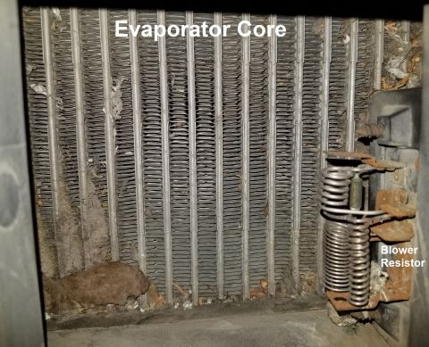 1996 Ford Bronco - As I thought, the evaporator core has collected a lot of debris. Fortunately, it can be cleaned without losing any refrigerant. IF THE IMAG…