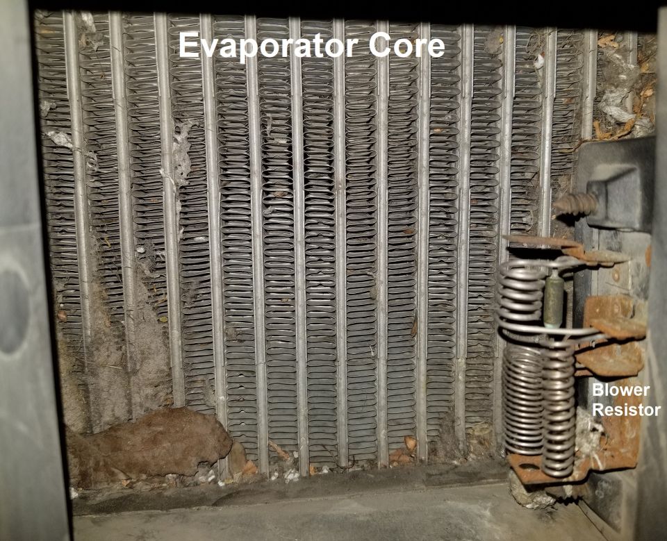 Evaporator core with fins and a blower resistor attached. Some debris is visible