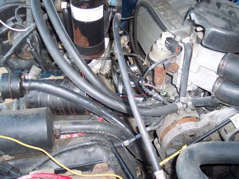 1990 Ford Bronco - Engine bay detail showing various hoses, the alternator, and other engine parts.
