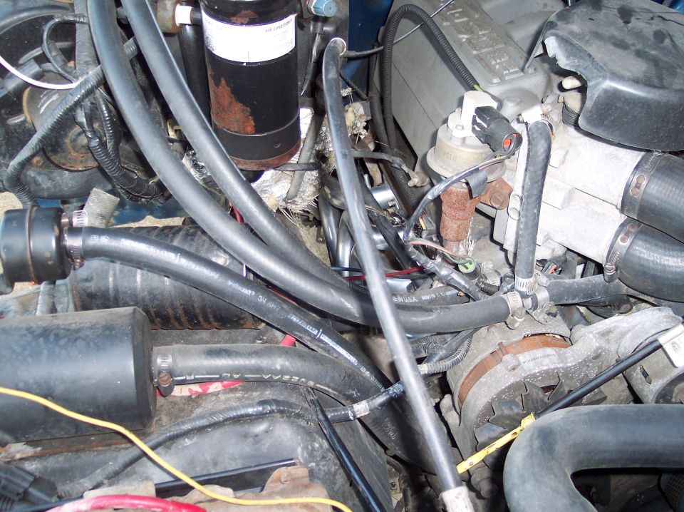Close-up of engine bay hoses, alternator, and some engine components