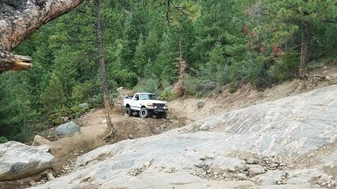 1995 Ford Bronco - A white pickup truck navigates a challenging off-road trail surrounded by dense forest and large rocks.