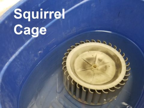 1996 Ford Bronco - While the blower was out, I soaked the squirrel cage overnight & then scrubbed the fins.