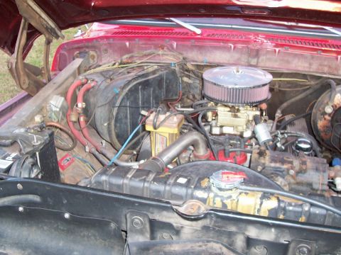1979 Ford Bronco - The engine bay of a 1979 Ford Bronco shows its V8 engine, carburetor, and various hoses.