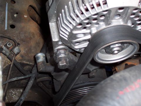 1987 Ford Bronco - 3g alternator and disconnected smog pump. I think I'll run a rubber hose over the bare outlet on the pump. To keep down the questions!