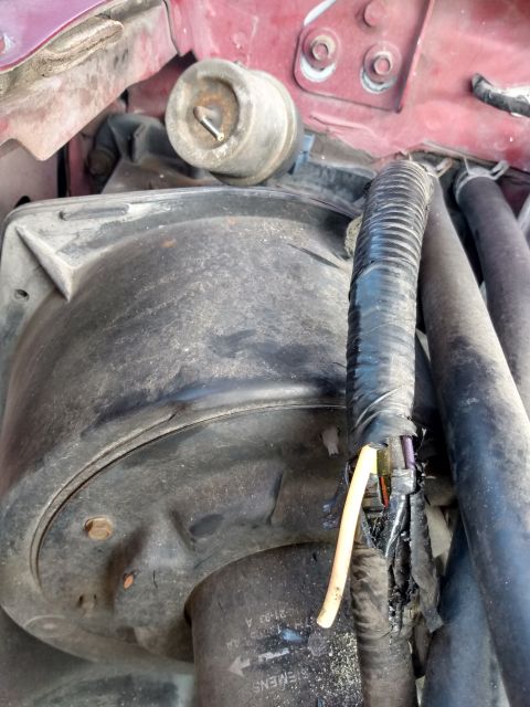 1994 Ford Bronco - Close-up view of engine bay components, including wiring and hoses.