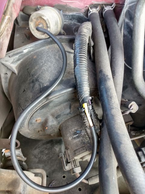 1994 Ford Bronco - Close-up view of hoses and wiring within a vehicle's engine bay.