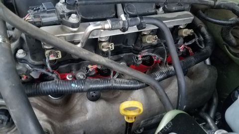 2005 Ford Mustang - Close-up of an engine bay, showing ignition coils and fuel injectors.