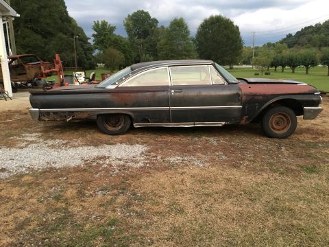 1961 Ford Starliner - Side view of a weathered 1961 Ford Starliner coupe with visible rust and patina, parked in a grassy area.