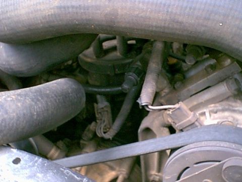 1988 Ford Bronco - Close-up view of engine components, including hoses and belts, in a vehicle's engine bay.