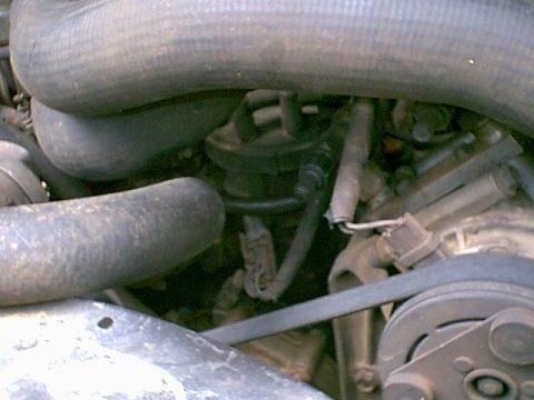 1988 Ford Bronco - Engine bay detail with hoses and belts visible.