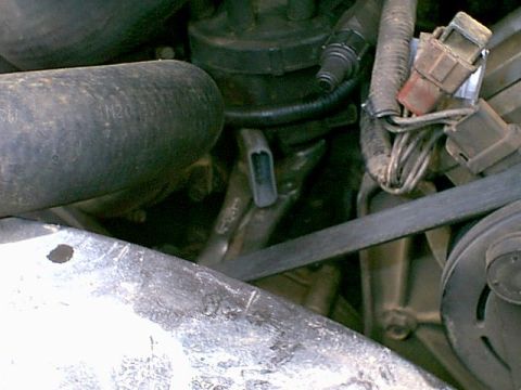 1988 Ford Bronco - Engine bay details show hoses, a belt, and electrical connectors.