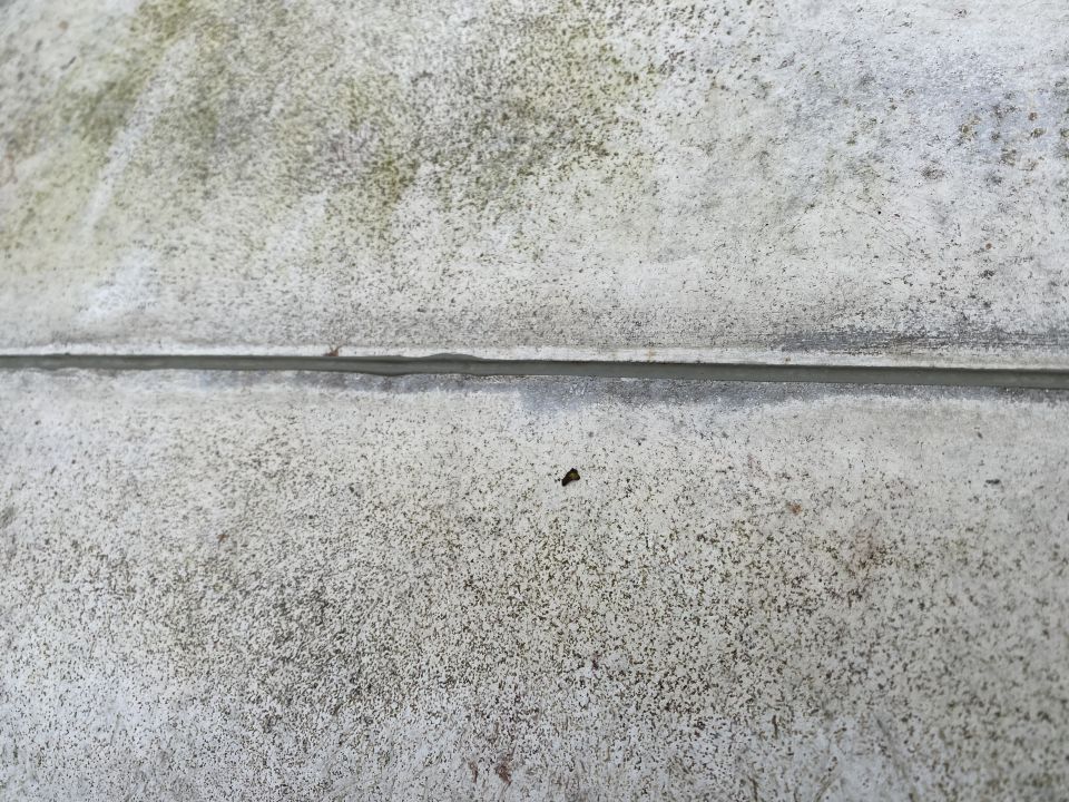 Close-up of weathered concrete surface with a horizontal seam.