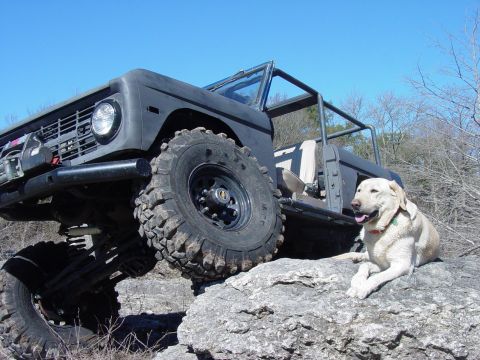 1972 Ford Bronco - A black 1972 Ford Bronco navigates rocky terrain with a yellow lab companion enjoying the view.