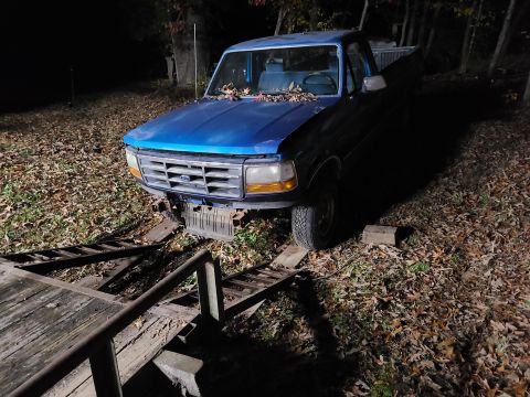 1995 Ford F-150 - Even in the dark, I was able to find a ground hornet nest. IF THE IMAGE IS TOO SMALL, click it.