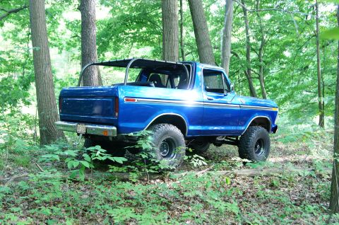 1979 Ford Bronco - A blue Ford Bronco with a roll cage sits in a forest clearing.