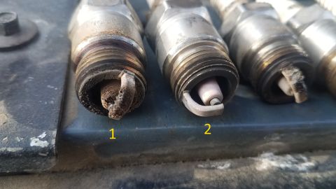 1985 Ford Bronco - Close-up of four spark plugs, showing varying degrees of wear and fouling.