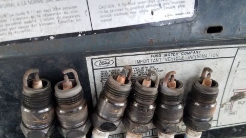 1985 Ford Bronco - Several used spark plugs are shown against a Ford Motor Company information sticker.