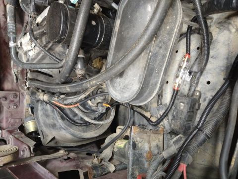 1996 Ford Bronco - Close-up view of engine bay wiring and an inline fuse holder, likely part of an aftermarket installation.