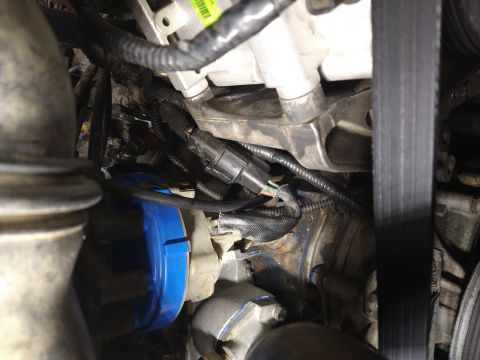 1996 Ford Bronco - This image shows a close-up view of various engine components, including wiring harnesses and a blue cap.