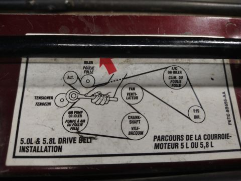 1996 Ford Bronco - Factory drive-belt routing decal for Ford 5.0L and 5.8L engines showing pulley layout in English and French.
