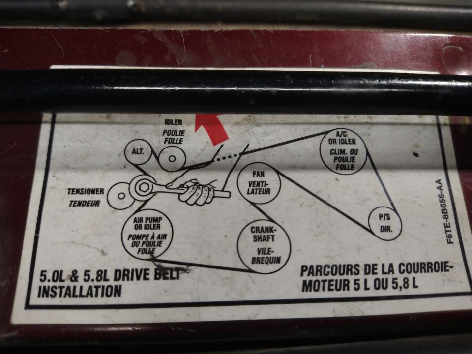 Underhood 5.0L and 5.8L drive belt routing label with pulley names