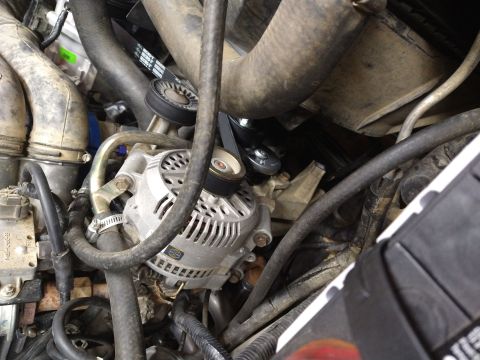 1996 Ford Bronco - Close-up view of the alternator and belt system within an engine bay.