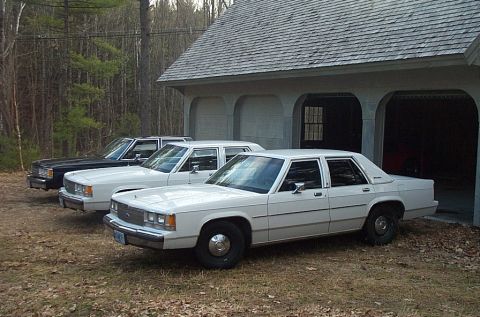 1991 Ford LTD Crown Victoria - Three Ford Crown Victorias are lined up in front of a garage with a wooded area in the background.