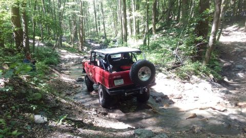 1988 Ford Bronco