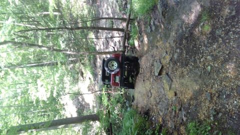 1988 Ford Bronco