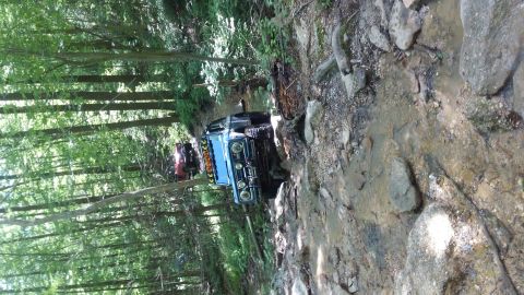 1988 Ford Bronco