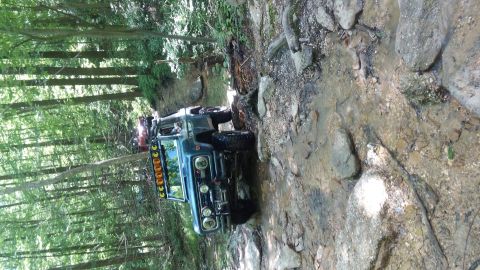 1988 Ford Bronco