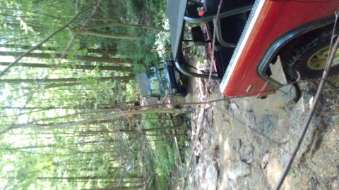 1988 Ford Bronco