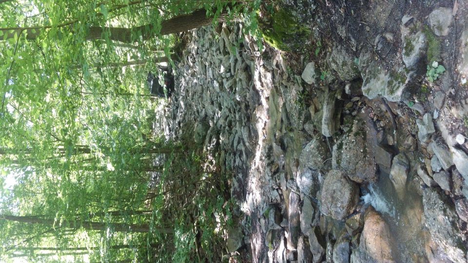 A rocky, wooded path with trees and a stream.