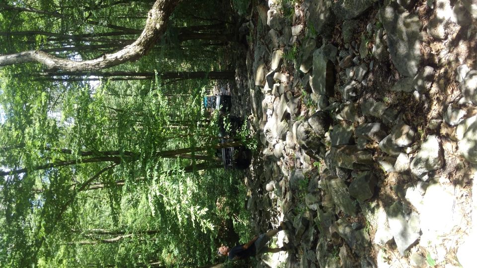 Person walking on a rocky path in a forest with off-road vehicles in the background.