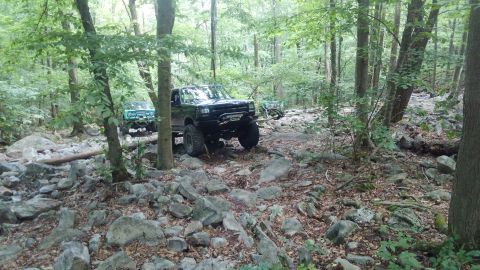 1988 Ford Bronco