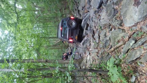 1988 Ford Bronco