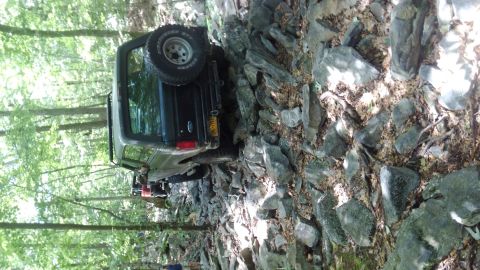 1988 Ford Bronco photo