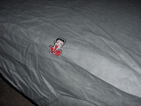 1969 Mercury Marquis - Front ornament on the car cover!