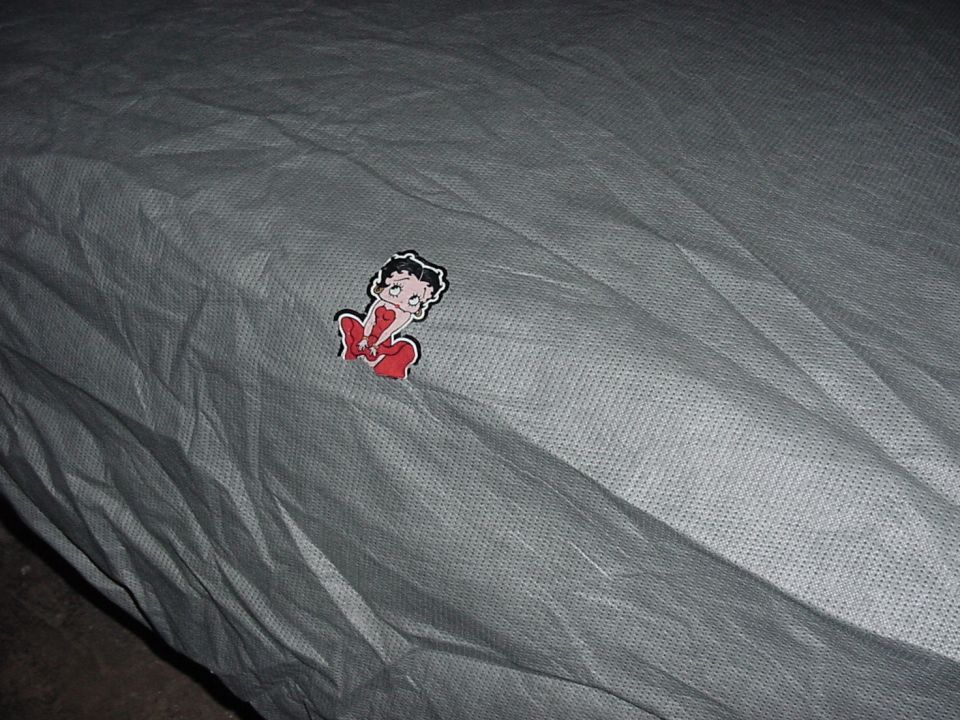 Front ornament on the car cover!