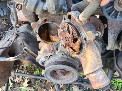 1995 Ford F-150 - Coolant neglect destroys water pumps. This impeller is like lace. [url=https://www.supermotors.net/registry/media/1163713_1] https://www.su…