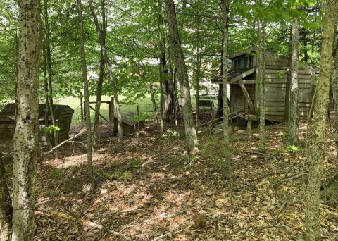 1992 Jeep Wrangler - A wooded scene several wooden sheds and trees, with a 'SUPER MOTORS' watermark visible at the bottom right.